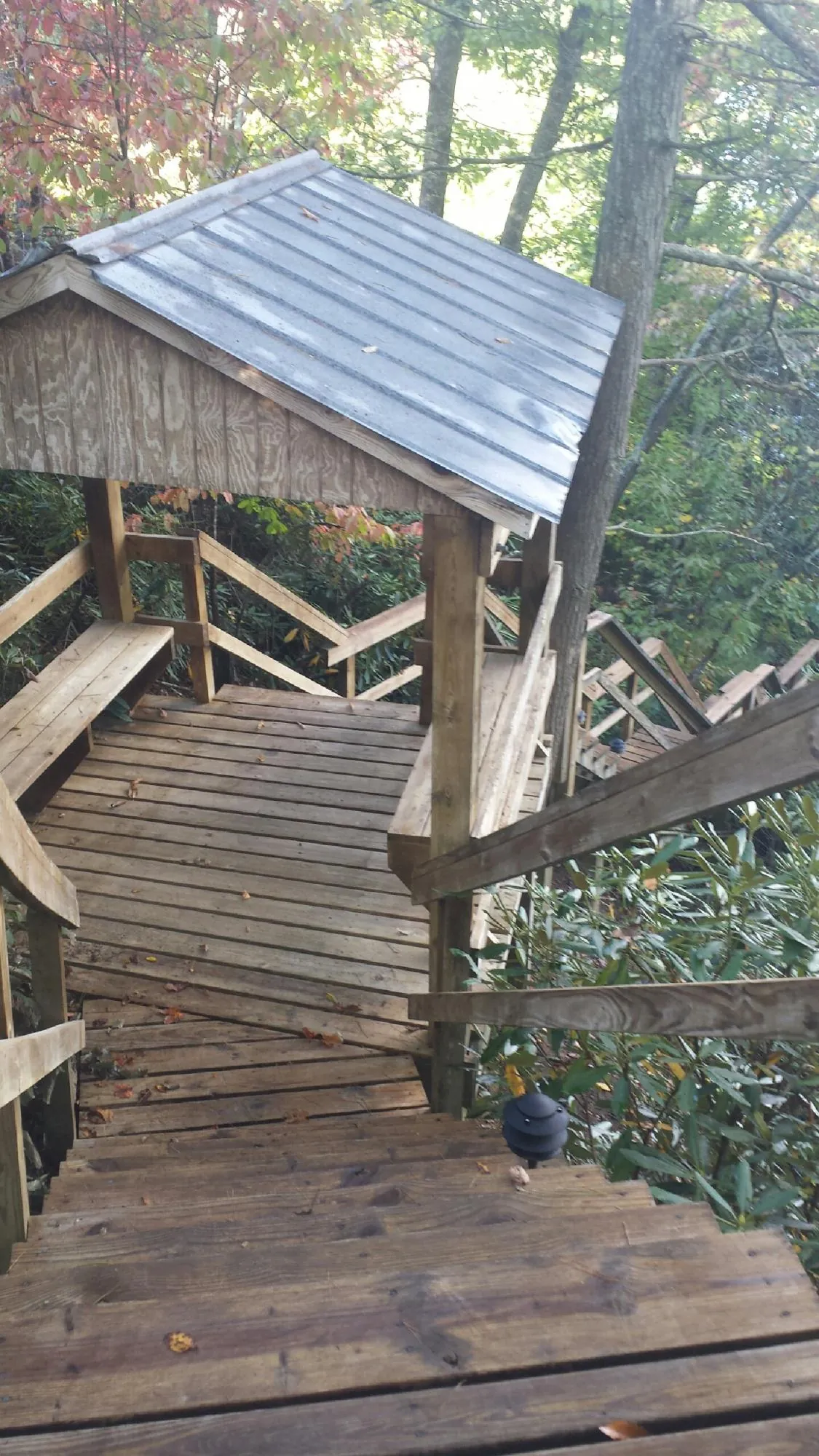 Metal roofed shelter over wooden steps on a wooded walkway — Skylight Repair & Installation work by our crew in Rhododendron