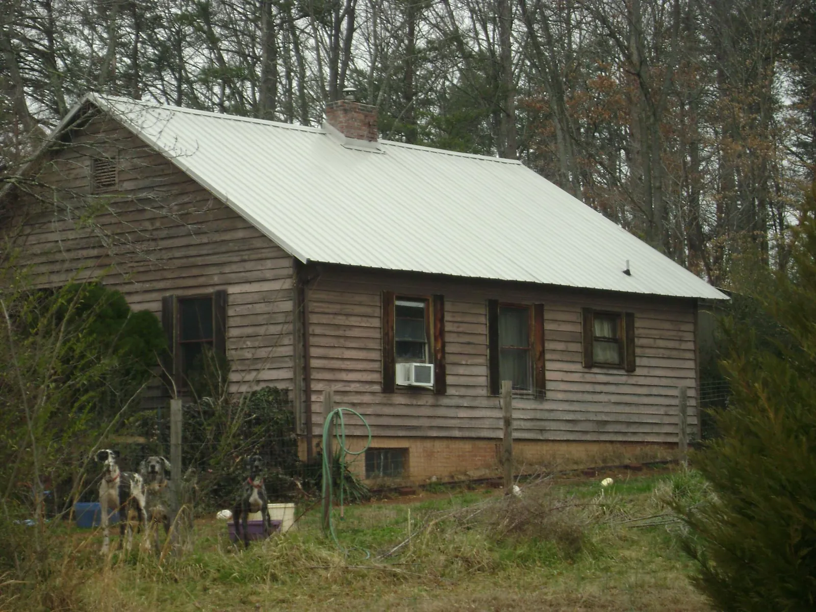 White metal roof on an old wood sided farmhouse, from a Asphalt Shingle Roof Repair job in Rhododendron